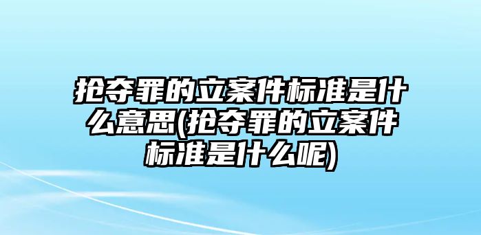 搶奪罪的立案件標準是什么意思(搶奪罪的立案件標準是什么呢)