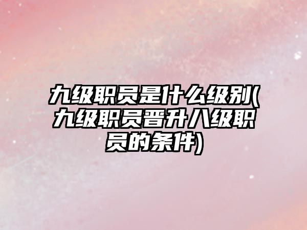 九級職員是什么級別(九級職員晉升八級職員的條件)