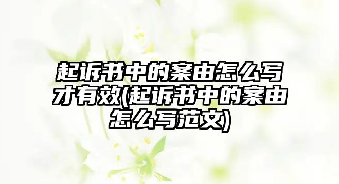 起訴書中的案由怎么寫才有效(起訴書中的案由怎么寫范文)