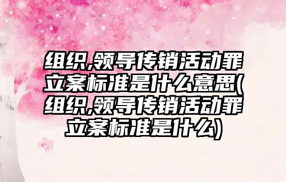 組織,領導傳銷活動罪立案標準是什么意思(組織,領導傳銷活動罪立案標準是什么)