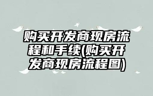 購買開發商現房流程和手續(購買開發商現房流程圖)