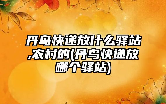 丹鳥快遞放什么驛站,農村的(丹鳥快遞放哪個驛站)