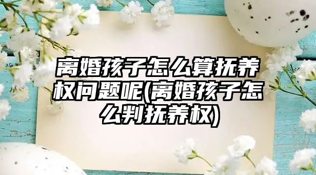 離婚孩子怎么算撫養權問題呢(離婚孩子怎么判撫養權)