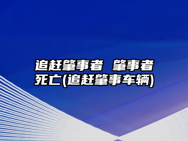 追趕肇事者 肇事者死亡(追趕肇事車輛)