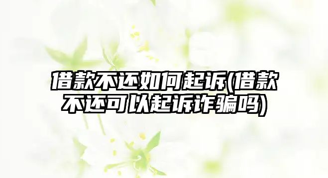 借款不還如何起訴(借款不還可以起訴詐騙嗎)