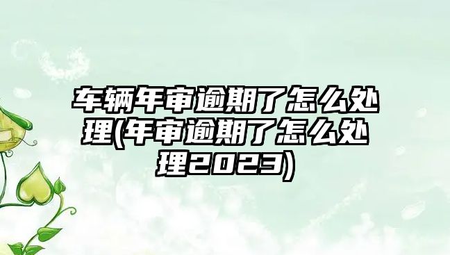 車輛年審逾期了怎么處理(年審逾期了怎么處理2023)