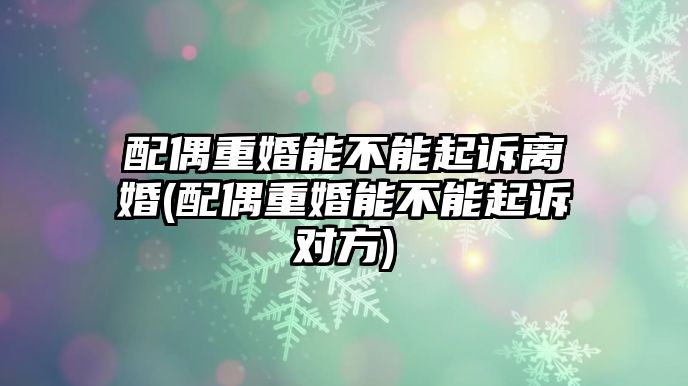 配偶重婚能不能起訴離婚(配偶重婚能不能起訴對方)