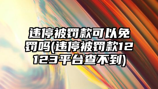 違停被罰款可以免罰嗎(違停被罰款12123平臺查不到)