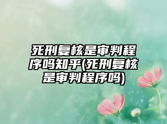 死刑復(fù)核是審判程序嗎知乎(死刑復(fù)核是審判程序嗎)