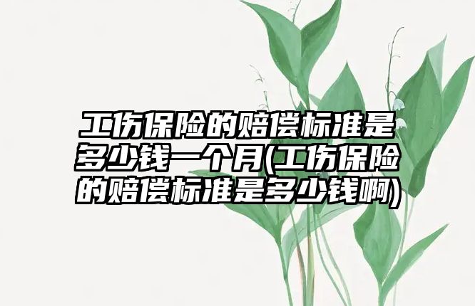 工傷保險的賠償標準是多少錢一個月(工傷保險的賠償標準是多少錢啊)