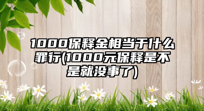 1000保釋金相當(dāng)于什么罪行(1000元保釋是不是就沒事了)