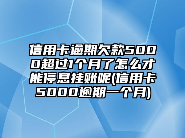 信用卡逾期欠款5000超過1個月了怎么才能停息掛賬呢(信用卡5000逾期一個月)