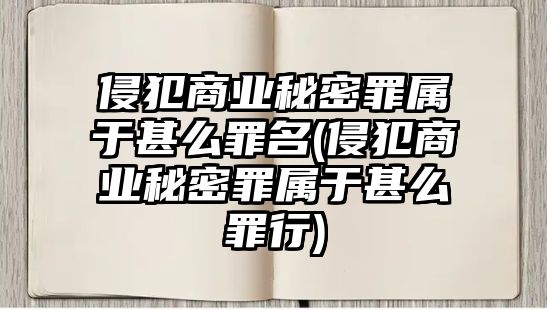 侵犯商業秘密罪屬于甚么罪名(侵犯商業秘密罪屬于甚么罪行)