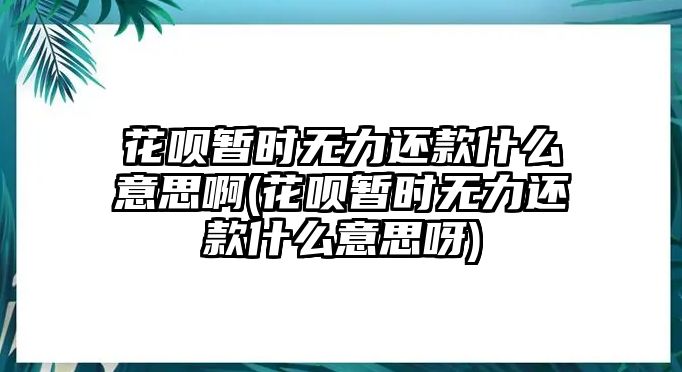 花唄暫時無力還款什么意思啊(花唄暫時無力還款什么意思呀)