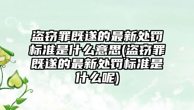 盜竊罪既遂的最新處罰標準是什么意思(盜竊罪既遂的最新處罰標準是什么呢)