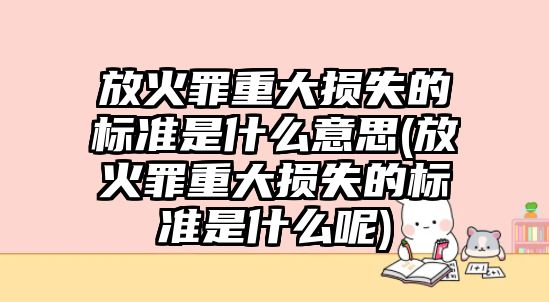 放火罪重大損失的標準是什么意思(放火罪重大損失的標準是什么呢)