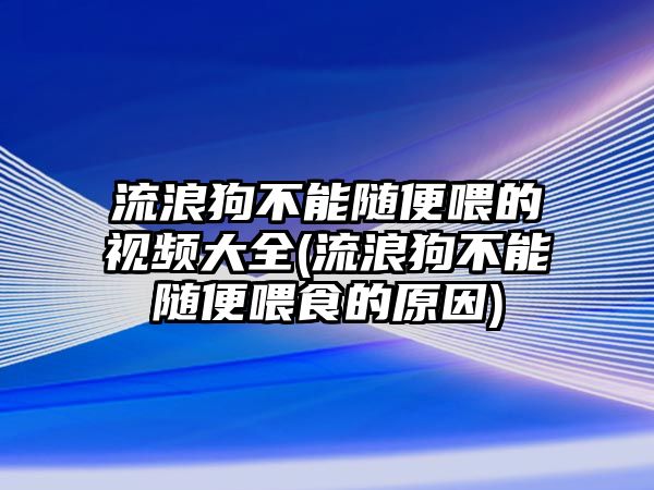 流浪狗不能隨便喂的視頻大全(流浪狗不能隨便喂食的原因)