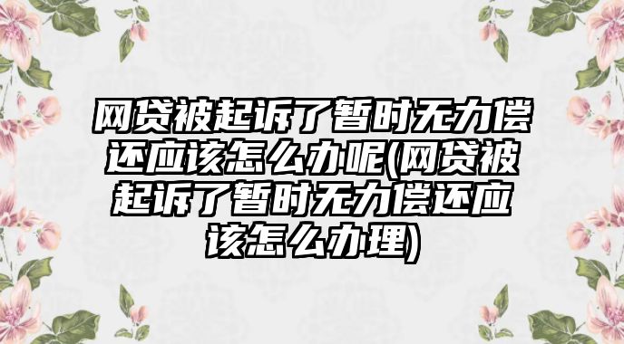 網貸被起訴了暫時無力償還應該怎么辦呢(網貸被起訴了暫時無力償還應該怎么辦理)