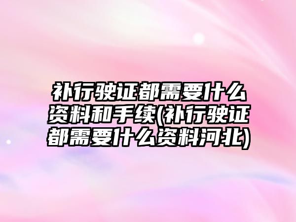 補行駛證都需要什么資料和手續(xù)(補行駛證都需要什么資料河北)