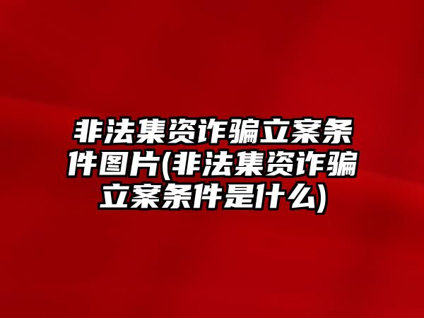 非法集資詐騙立案條件圖片(非法集資詐騙立案條件是什么)