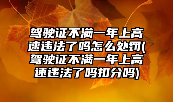 駕駛證不滿一年上高速違法了嗎怎么處罰(駕駛證不滿一年上高速違法了嗎扣分嗎)