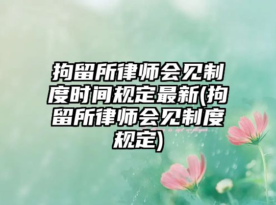 拘留所律師會見制度時間規(guī)定最新(拘留所律師會見制度規(guī)定)