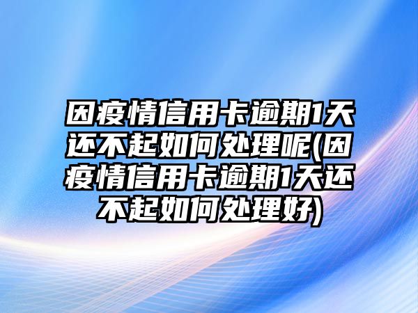 因疫情信用卡逾期1天還不起如何處理呢(因疫情信用卡逾期1天還不起如何處理好)