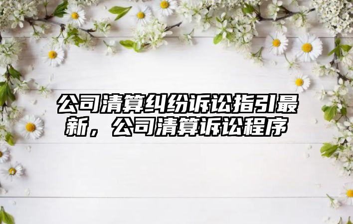 公司清算糾紛訴訟指引最新，公司清算訴訟程序