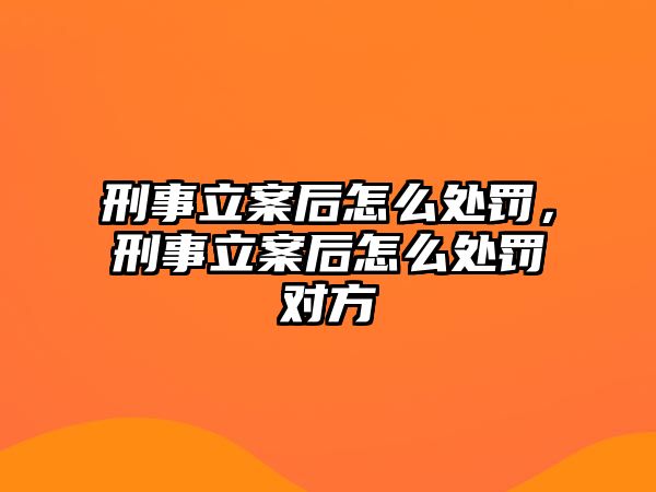 刑事立案后怎么處罰，刑事立案后怎么處罰對方