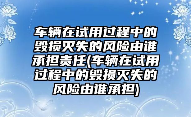 車輛在試用過程中的毀損滅失的風險由誰承擔責任(車輛在試用過程中的毀損滅失的風險由誰承擔)