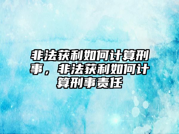 非法獲利如何計算刑事，非法獲利如何計算刑事責任