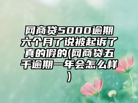 網商貸5000逾期六個月了說被起訴了真的假的(網商貸五千逾期一年會怎么樣)