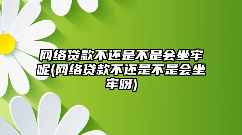 網絡貸款不還是不是會坐牢呢(網絡貸款不還是不是會坐牢呀)