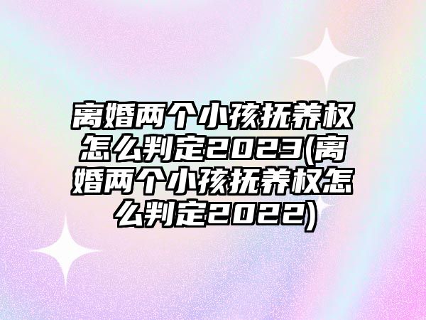 離婚兩個小孩撫養權怎么判定2023(離婚兩個小孩撫養權怎么判定2022)