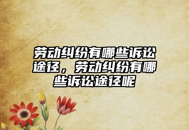 勞動糾紛有哪些訴訟途徑，勞動糾紛有哪些訴訟途徑呢