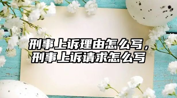 刑事上訴理由怎么寫，刑事上訴請求怎么寫