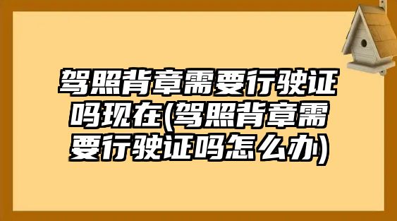 駕照背章需要行駛證嗎現在(駕照背章需要行駛證嗎怎么辦)