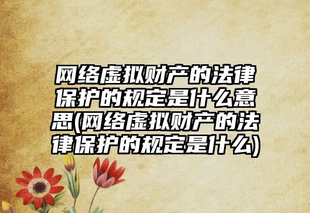 網絡虛擬財產的法律保護的規定是什么意思(網絡虛擬財產的法律保護的規定是什么)