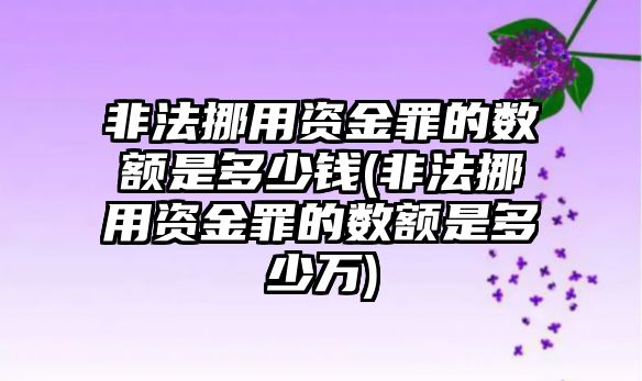 非法挪用資金罪的數額是多少錢(非法挪用資金罪的數額是多少萬)