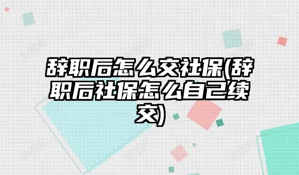 辭職后怎么交社保(辭職后社保怎么自己續(xù)交)