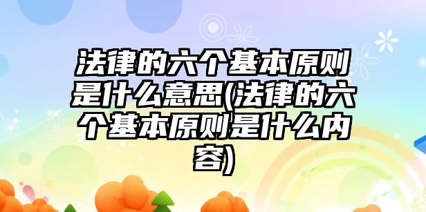 法律的六個基本原則是什么意思(法律的六個基本原則是什么內容)