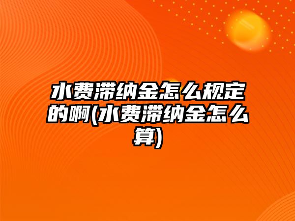 水費滯納金怎么規(guī)定的啊(水費滯納金怎么算)