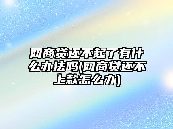 網(wǎng)商貸還不起了有什么辦法嗎(網(wǎng)商貸還不上款怎么辦)