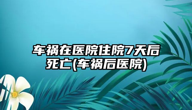 車禍在醫(yī)院住院7天后死亡(車禍后醫(yī)院)