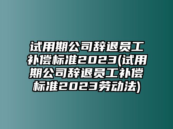 試用期公司辭退員工補償標準2023(試用期公司辭退員工補償標準2023勞動法)