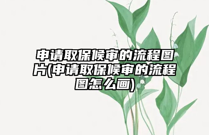 申請取保候審的流程圖片(申請取保候審的流程圖怎么畫)