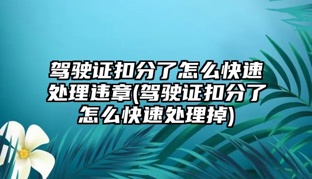 駕駛證扣分了怎么快速處理違章(駕駛證扣分了怎么快速處理掉)