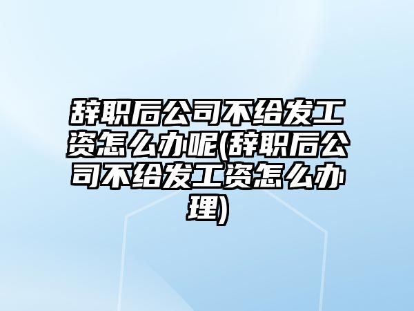 辭職后公司不給發工資怎么辦呢(辭職后公司不給發工資怎么辦理)