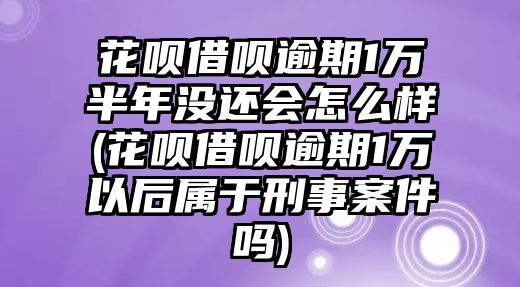 花唄借唄逾期1萬半年沒還會怎么樣(花唄借唄逾期1萬以后屬于刑事案件嗎)