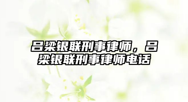 呂梁銀聯(lián)刑事律師，呂梁銀聯(lián)刑事律師電話